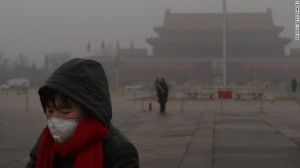 <> on January 31, 2013 in Beijing, China.